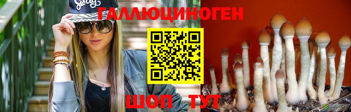 Псилоцибиновые грибы GOLDEN TEACHER Уфа